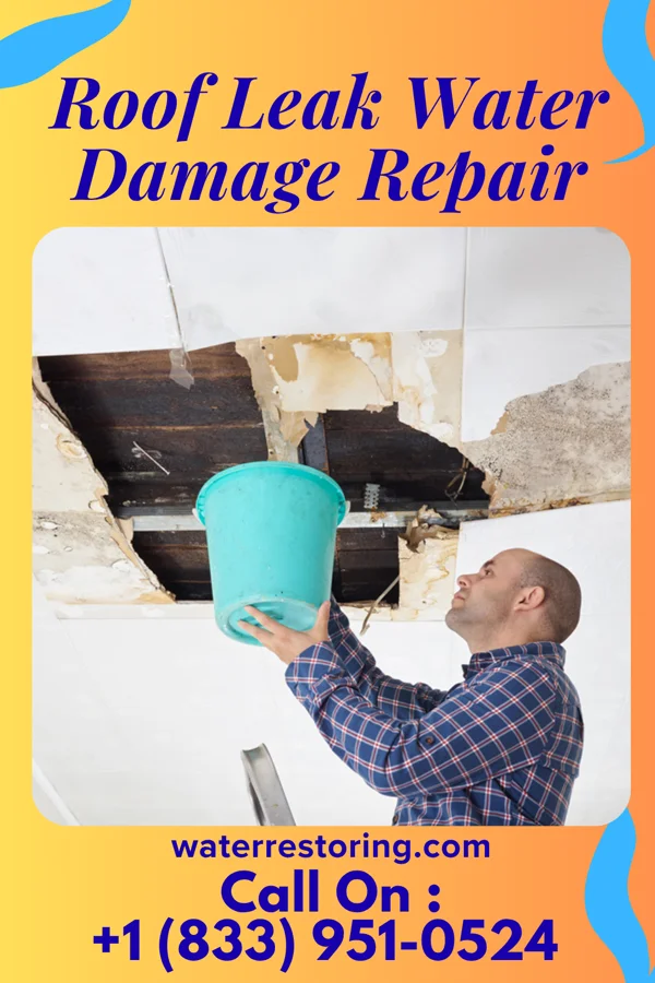 Roof Leak Water Damage Repair in Ursina, PA