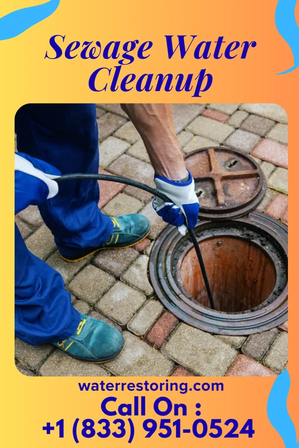 Sewage Water Cleanup in Ursina, PA