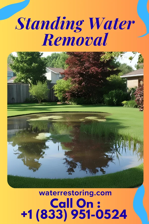 Standing Water Removal in Ursina, PA